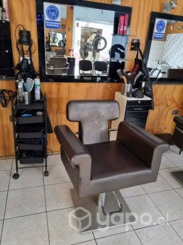 Sillon peluqueria - Imagen 3