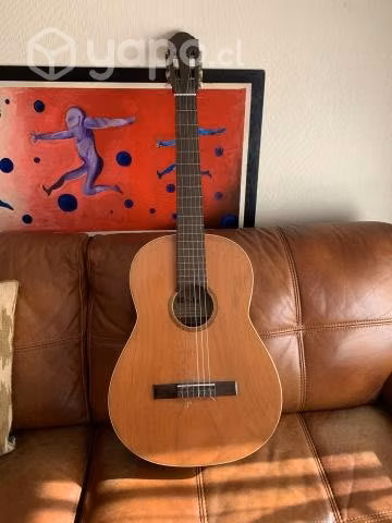 Guitarra Mesko