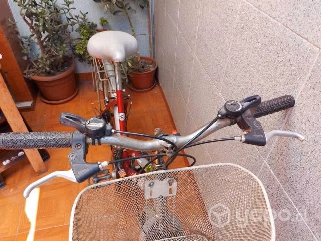 Bicicleta mujer