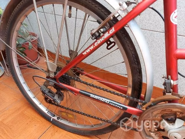 Bicicleta mujer