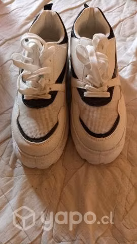 Zapatillas
