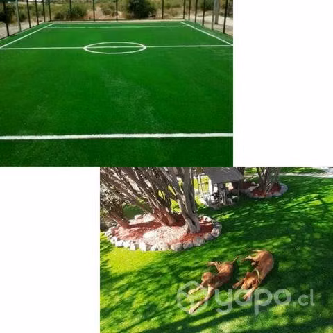 Pasto sintetico
