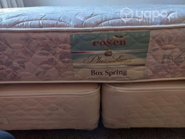 Cama box spring -king