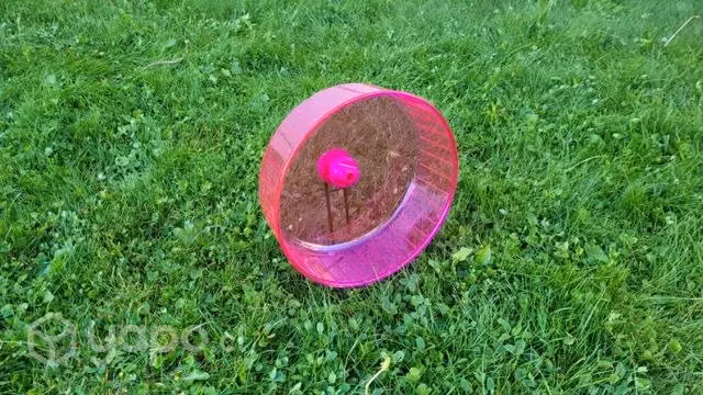 Rueda Hamster