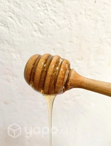Miel de abeja - Imagen 2