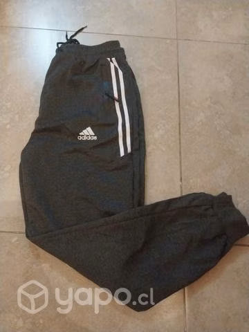 Buzos de varon
