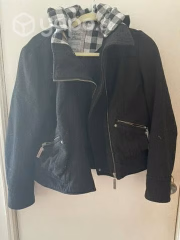 Chaqueta Robert Lewis