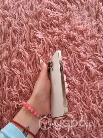 IPhone 13 Pro de 256