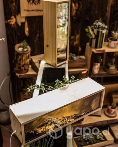 Lámparas decorativas modelo caja de luz