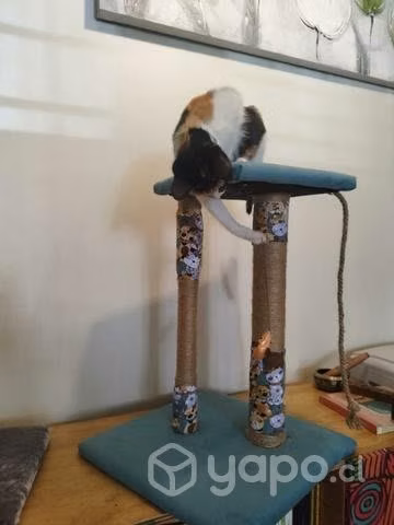Centro de Entretención y rascador para gatos!!!