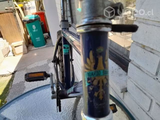 Bicicleta Bianchi Kagno aro12 - Imagen 3