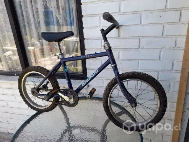 Bicicleta Bianchi Kagno aro12 - Imagen 2