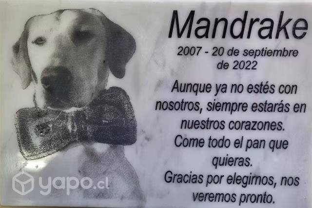 Lápidas Para Mascotas