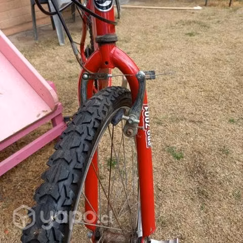 Bicicleta oxford