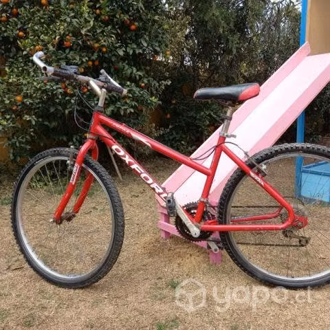 Bicicleta oxford