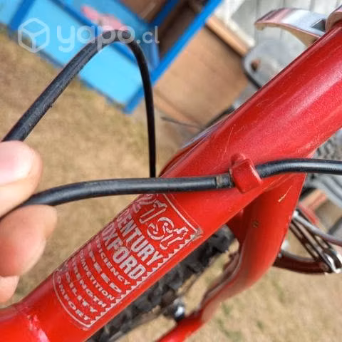 Bicicleta oxford