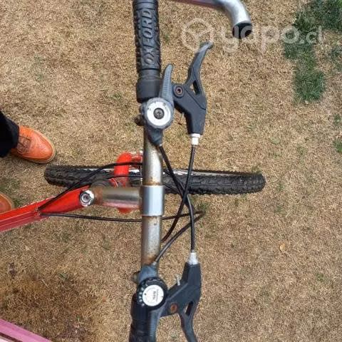 Bicicleta oxford