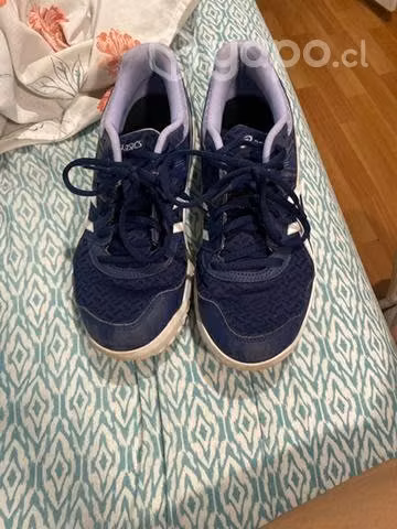 Zapatillas de volley