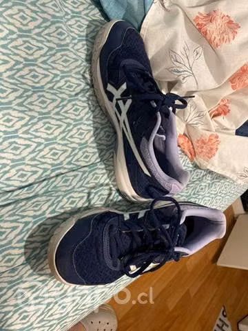 Zapatillas de volley