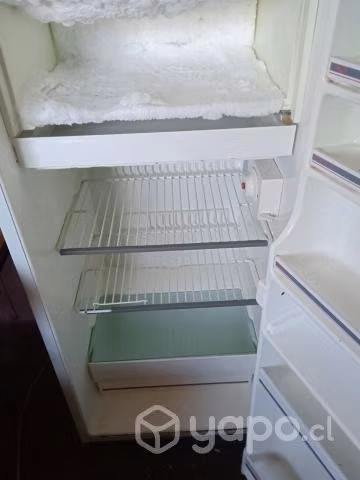 Nevera funcionando al 100% - Imagen 3