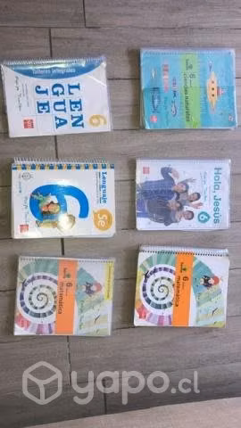 Textos escolares 6º báscio