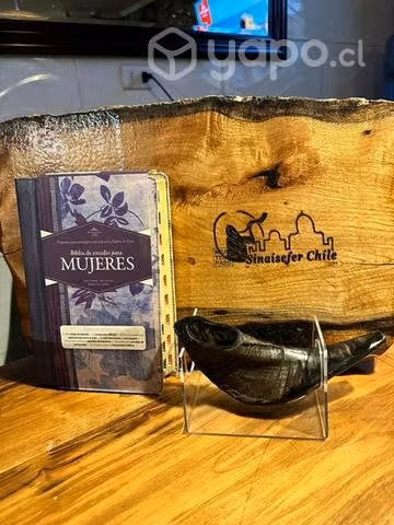 Biblia de la mujer de estudio más shofar carnero