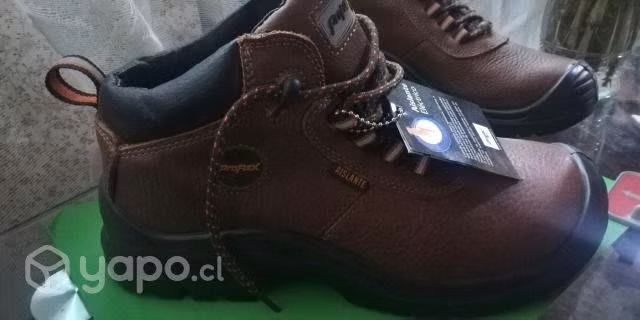 Botin de seguridad 43