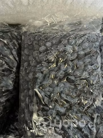 Arándanos congelados