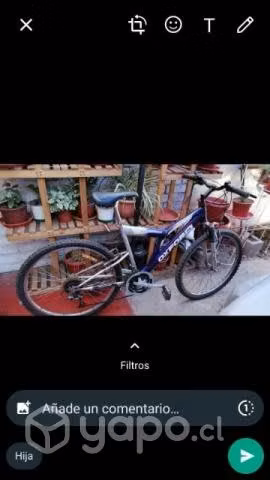 Bicicleta oxford