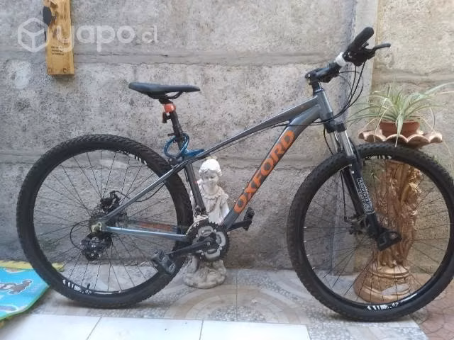 Oxford Merak aro 29 Nueva sin uso