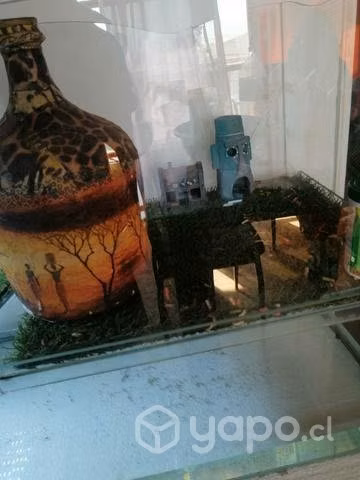 Pesera para tortugas
