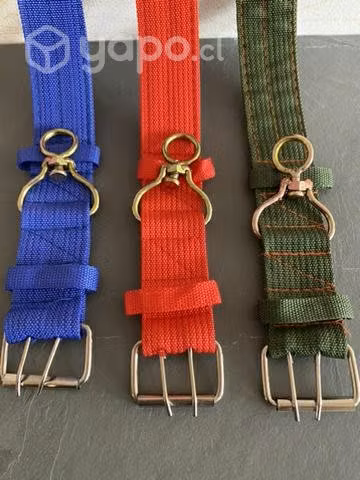 Collares para perro