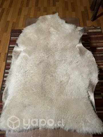 Cueros de cordero para decoración
