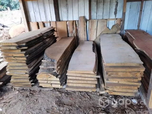 Madera de castaño y roble Pellin (cubiertas)
