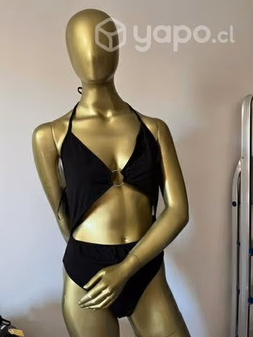 Body avíen