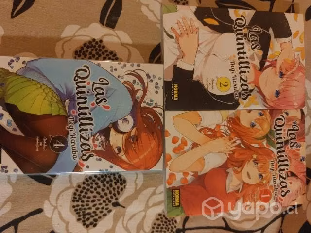 Manga: Las Quintillizas Norma Editorial