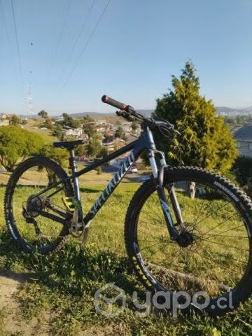 Specialized Rockhopper 29 talla M + extras