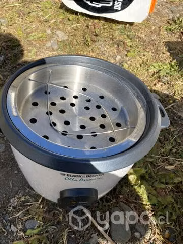 Arrocera eléctrica