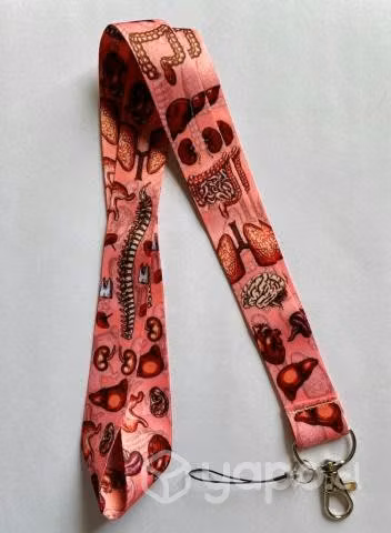 Lanyards/portacredenciales