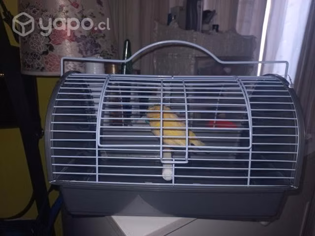Jaula de transporte para pajaritos o hamster