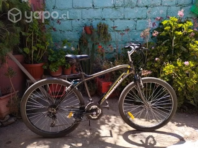 Bicicleta bianchi