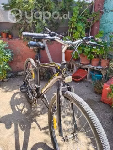 Bicicleta bianchi