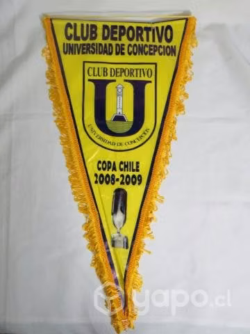 Banderín Grande Universidad de Concepción