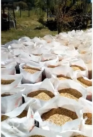 Sacos de avena Longaví Paine