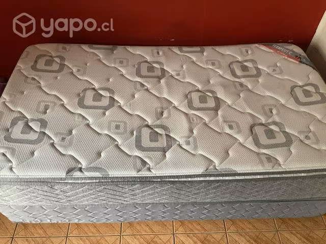 Cama