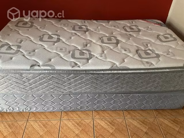 Cama