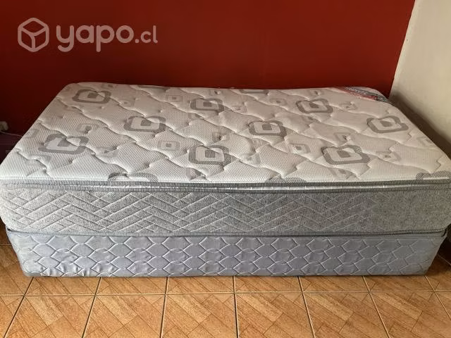 Cama