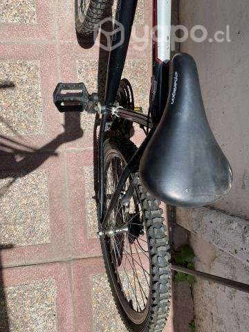 Bicicleta Paragon - Imagen 2