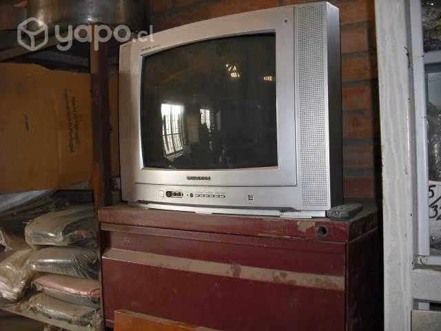 Televisor