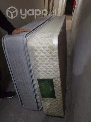 cama